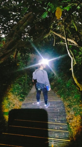 柴山夜爬看夕陽2993436