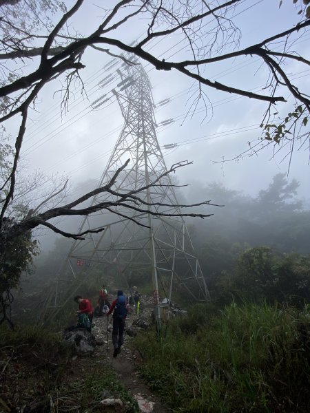 20200315_松鶴上八仙山889070