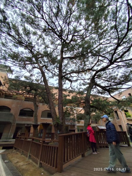 4-1 國立臺灣大學校園巡禮2691871