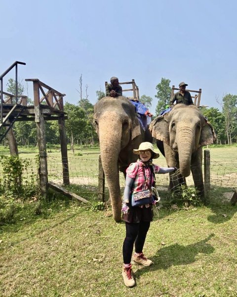 尼泊爾奇旺國家公園4天三夜2788905