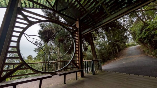 貓囒山步道2928527