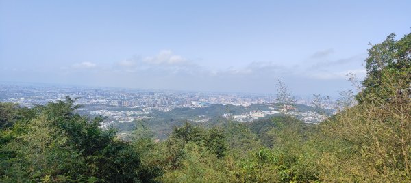 福源山步道2730331