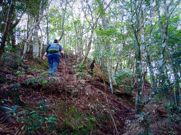 20211016_高島縱走1490497