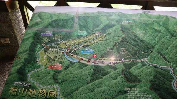 福山植物園登山健行趣(步道)2269416