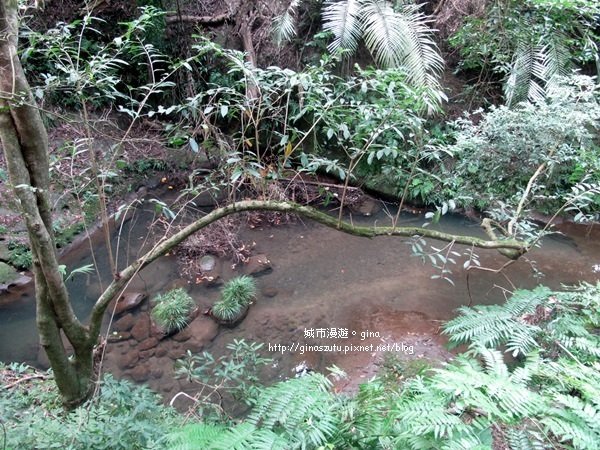 新竹峨眉~獅頭山 藤坪步道930525