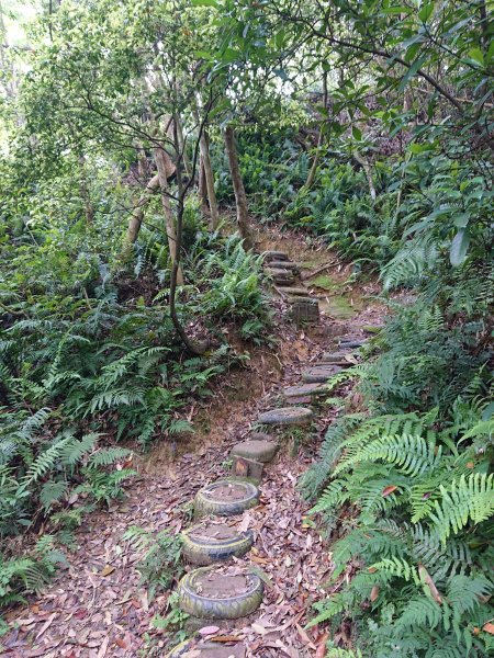 福人登山步道-光復土地公-大北坑2477059