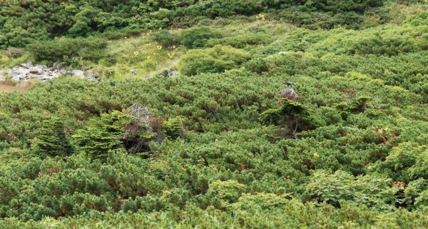 剱岳：日本地図最後の空白に足跡を刻んで2282445