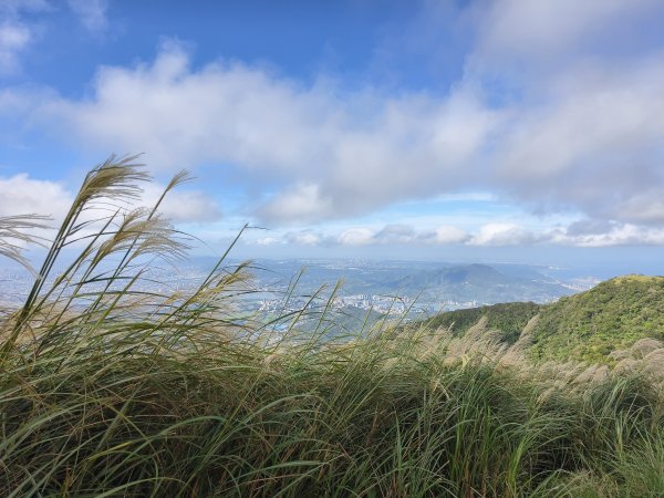 [百山百鳥尋旅-11/15] 2025_0927 大屯主峰-連峰步道_大屯山南峰2899386