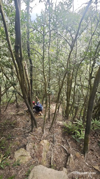 20251109 士林站到大湖站(福山宮_腰繞_燕溪古道_翠山步道_龍船岩_大溝溪)2932369