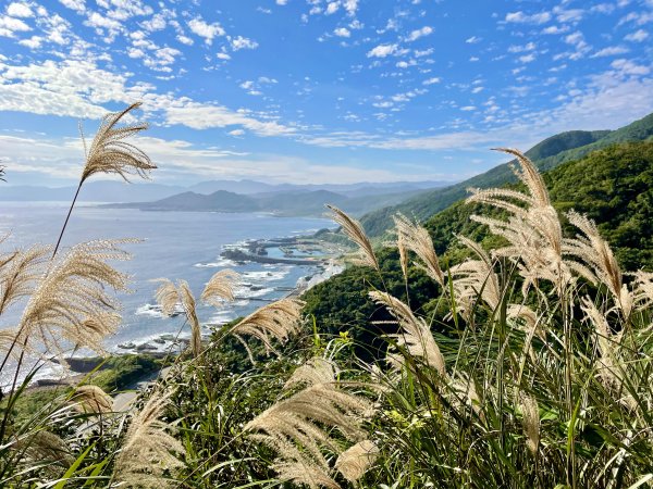 黃金十稜 龍洞稜 和美山登草山1221003