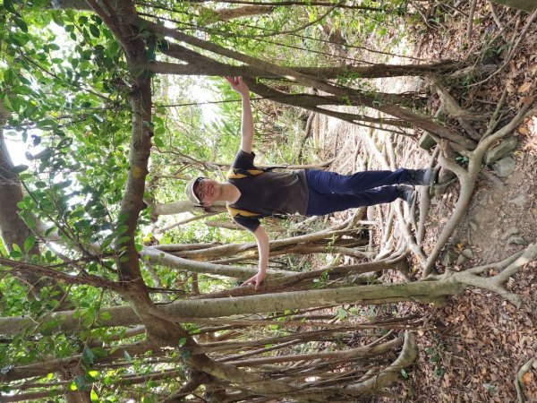 小百岳No.81⛰大山母山2776415