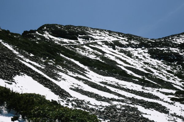 漫行百岳．台灣第二高峰．雪山1154558