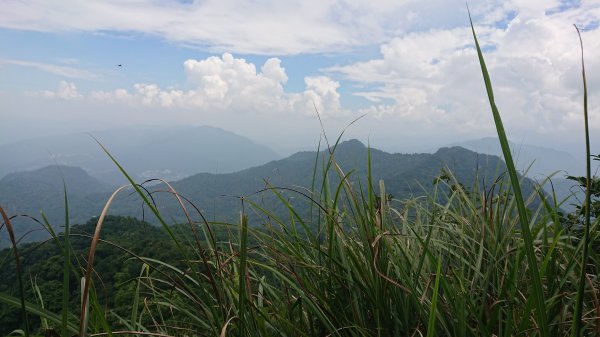 20180901新店獅仔頭隘勇線登山步道416119