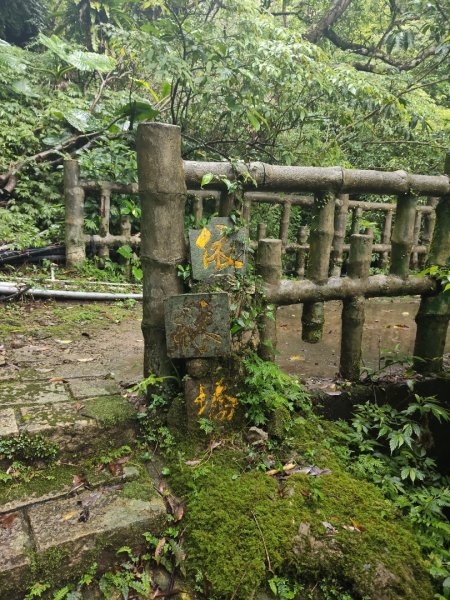 微笑山線：【五分山系】菁桐煤礦段2954725