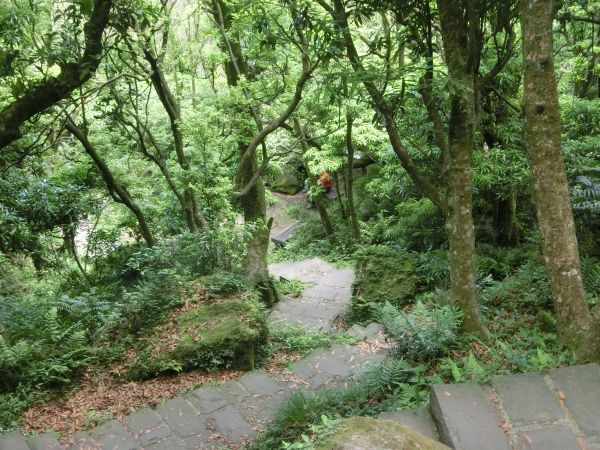 七星山主東峰．七星公園．冷苗步道331915