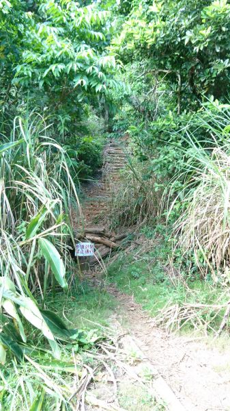 綠島過山古道+過山步道382893