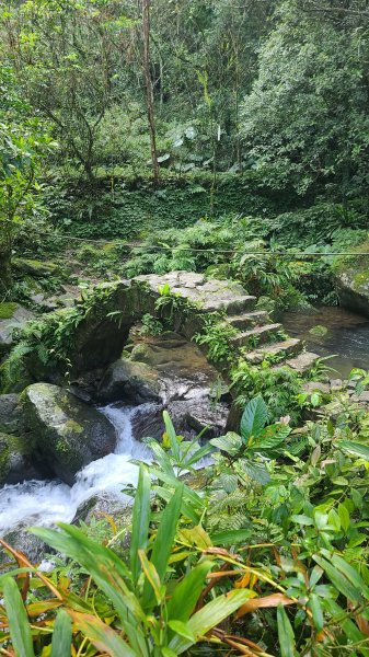 2026-0204 中坑古道_下坑古道O型3005559