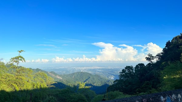 隙頂二延平步道2798959