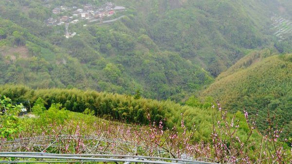 屯野生台山、石麻達山918017