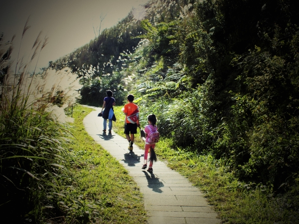 步道小旅行-賞芒聖地五分山3887