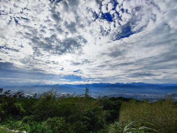 龜山到樹林散步一日遊2636209