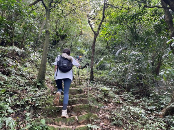 新北｜瑞芳．雙溪 淡蘭古道中路．暖東舊道（TK2-1~2-5 暖東峽谷步道、暖東舊道、五分山步道）2004182
