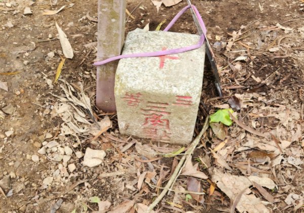 【中級山縱走】水雲三星，橫龍山，騰龍山，橫龍古道2742964