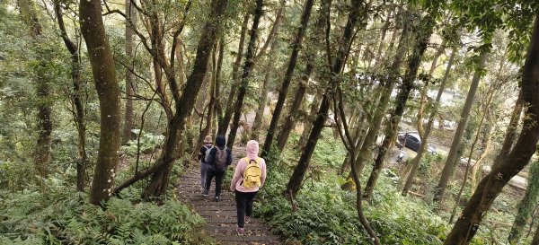 2024/12/14_關刀山步道O型2669319