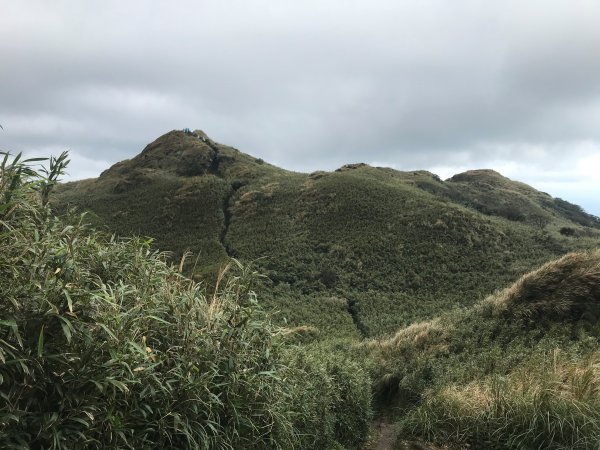 七星山主、東峰878603