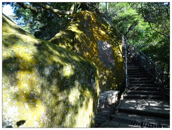 南港山/縱走象山(小百岳)797611