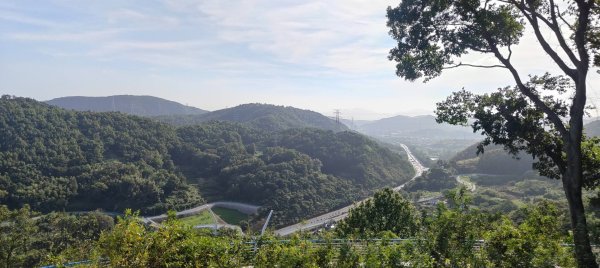 東海雲廊23086279