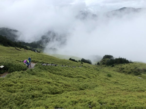 南投縣仁愛鄉 花蓮縣秀林鄉 合歡東峰672518