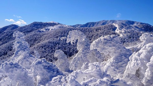 超綺麗夢幻的粉雪奇緣山行記在日本名古屋南沢山2781208
