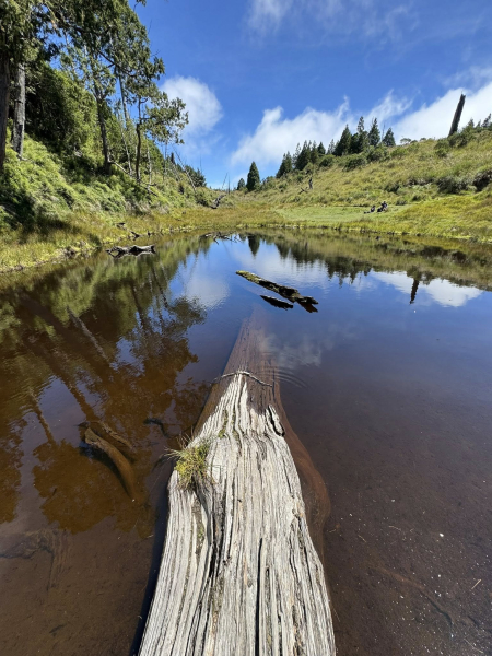 一日往返加羅湖