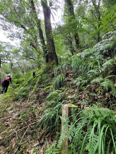 福巴越嶺國家步道2364484