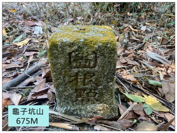 龜子坑山 (南投、魚池)