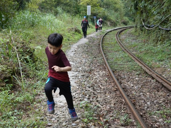 阿興阿賢幼坑古道715999