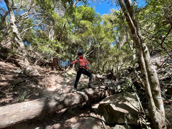 【谷關七雄】波津加(H1771.6m)肉腳配速成功2670571