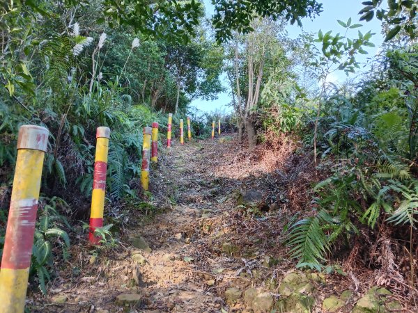 基隆市/萬里區界寮縱走之三界山+三界山西峰+開眼尖山+七分寮山+瑪七產道山泉水接水亭2979527