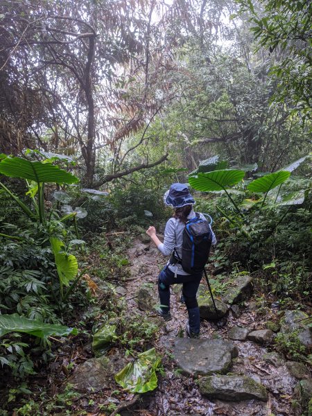 【台南梅嶺】梅峰、獵鷹尖、一線天795649