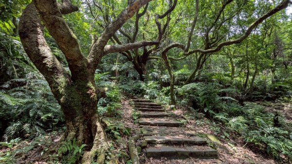 114.07.13三進三出七星山之旅2837151