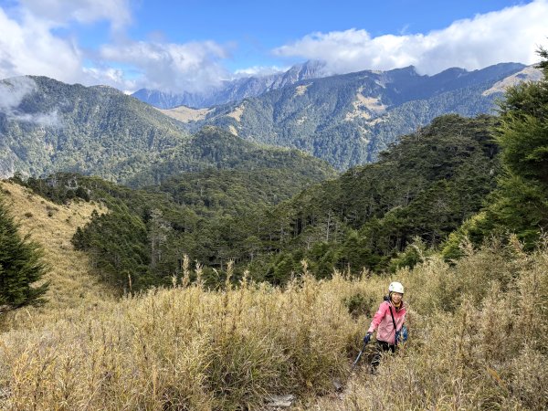 大眾運輸登 雪山西稜 (中雪山未竟) 2025/12/3~92970033
