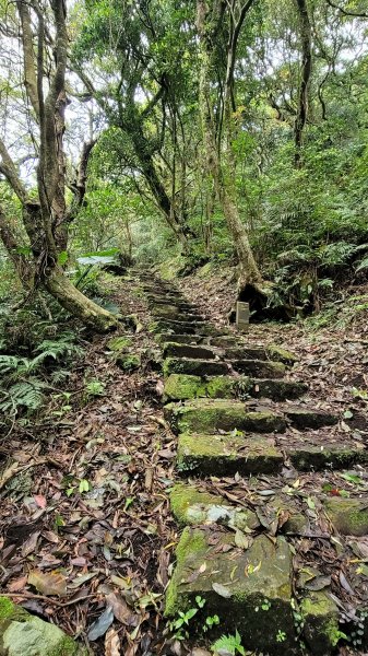 紗帽山步道2089789