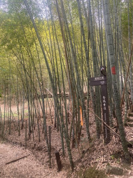 1120329奮瑞古道2643564