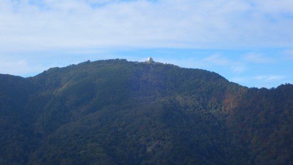 台灣最高如神般存在的大安溪倚天劍巨木探訪2747993