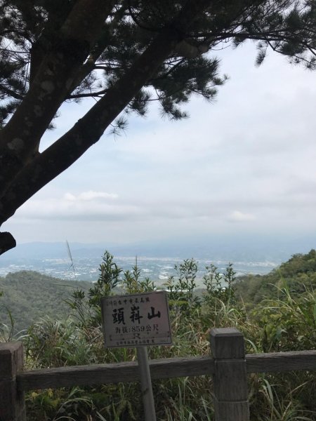 頭嵙山攻頂577447