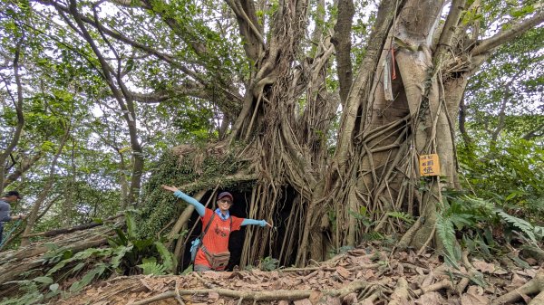 114.12.20劉銘傳隧道-獅球嶺北峰-獅球嶺東砲台山-獅球嶺池-獅球嶺砲台山之旅2966727