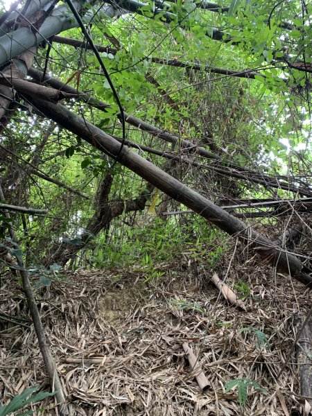 20251024台南光峰山2925650