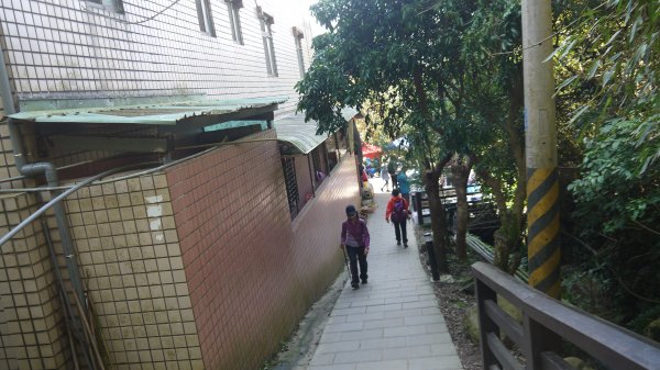 觀音山登山健行趣(小百岳05號)1632438
