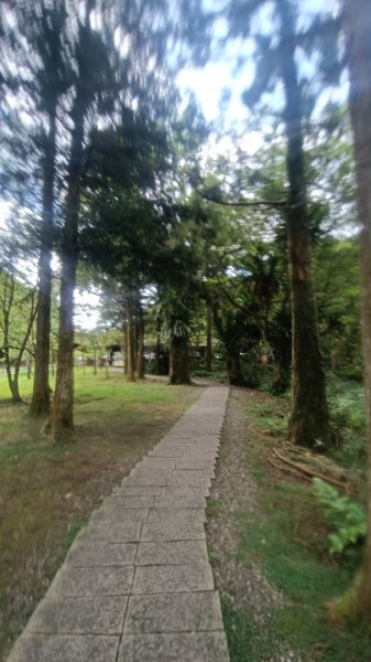 百大：福山植物園1748278